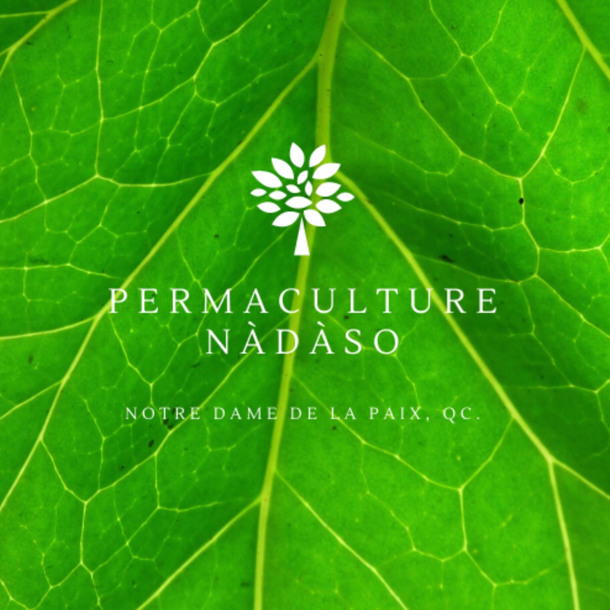 Permaculture Nàdàso