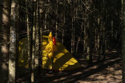 Swing Tes Couleurs 2026 — photo 107